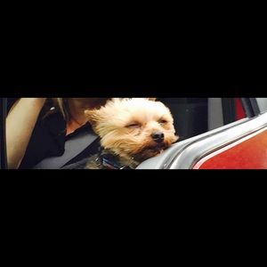 Meet your Posher, Christine